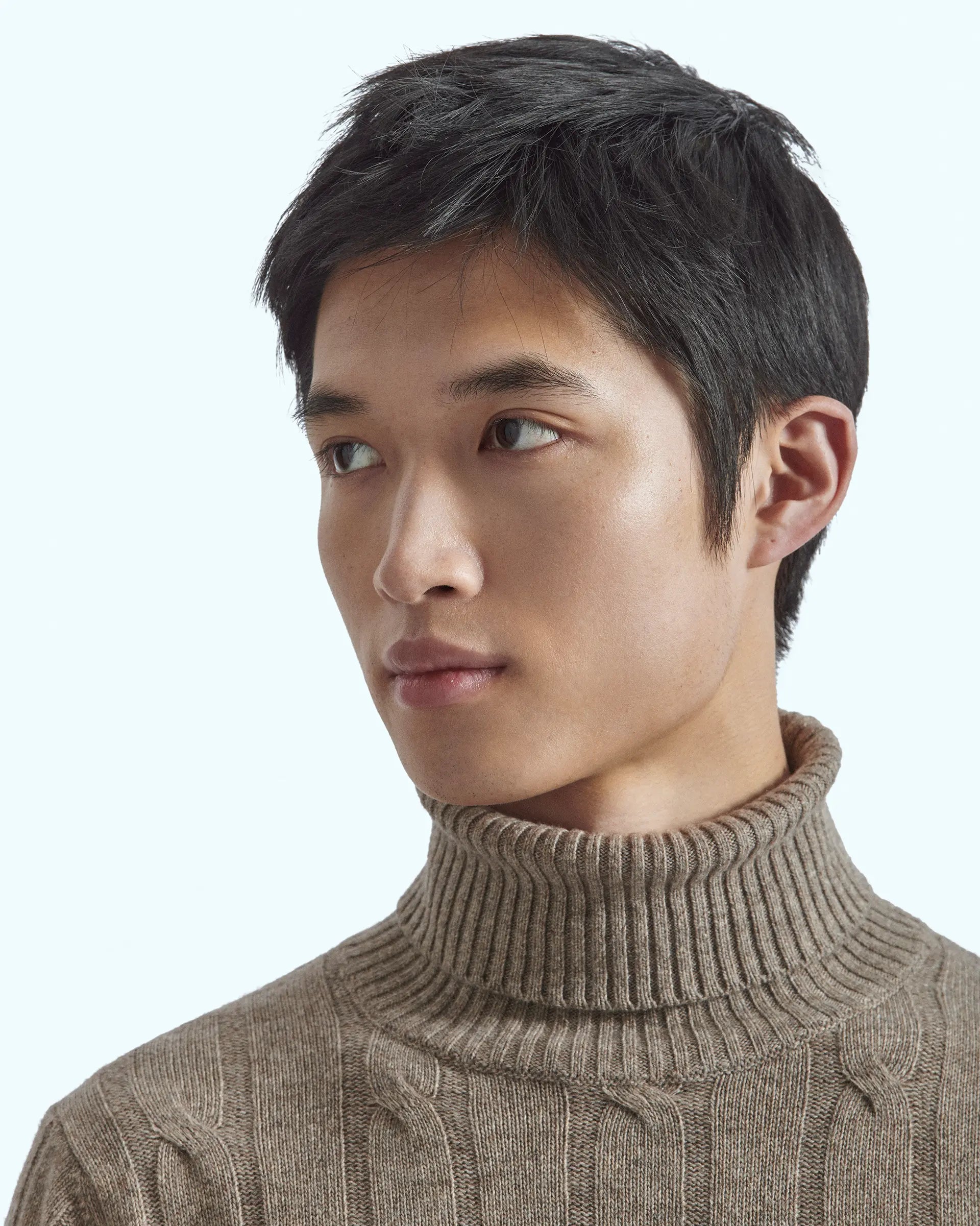 Beige turtleneck in cashmere blend with cable knit