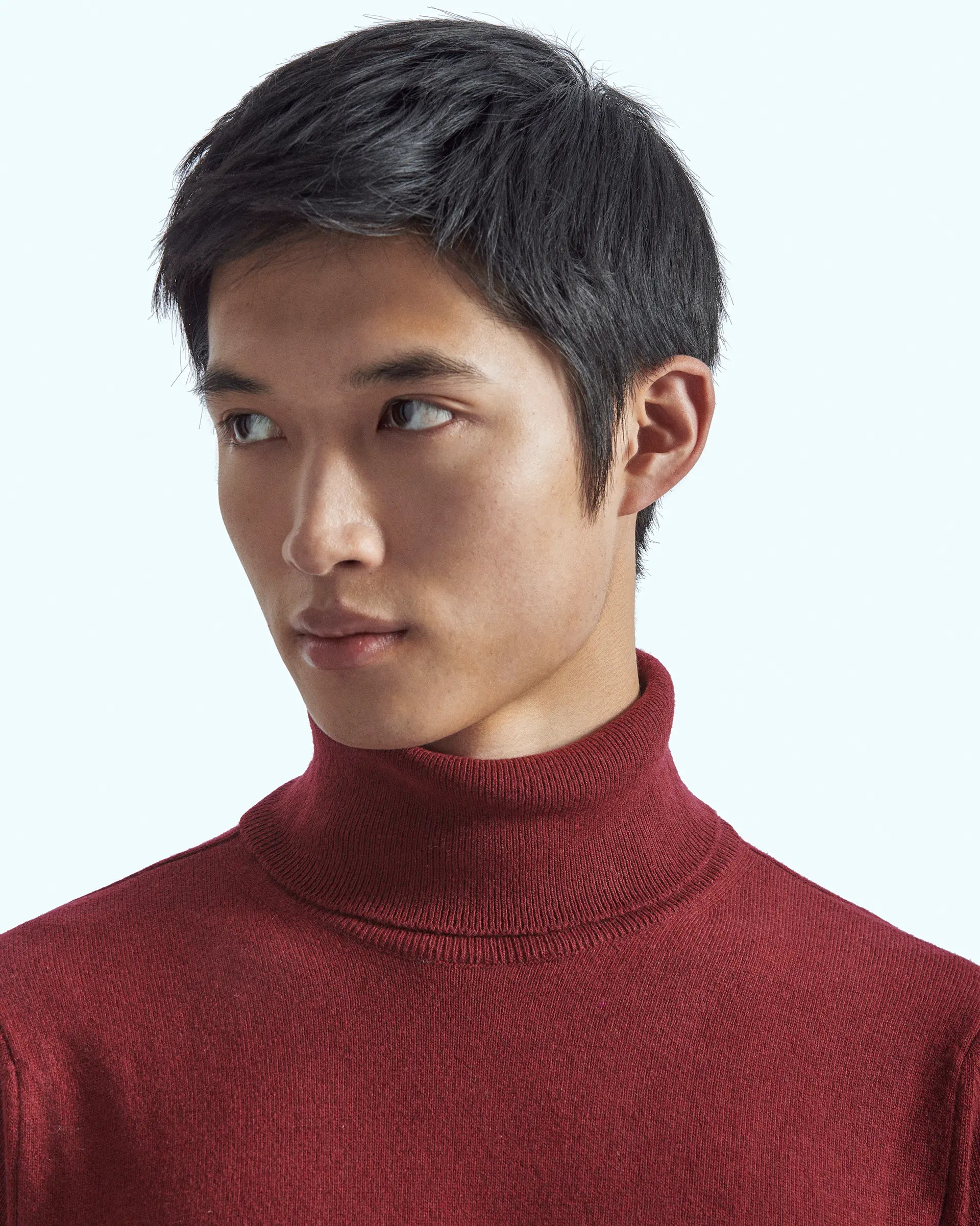 Burgundy cashmere blend turtleneck