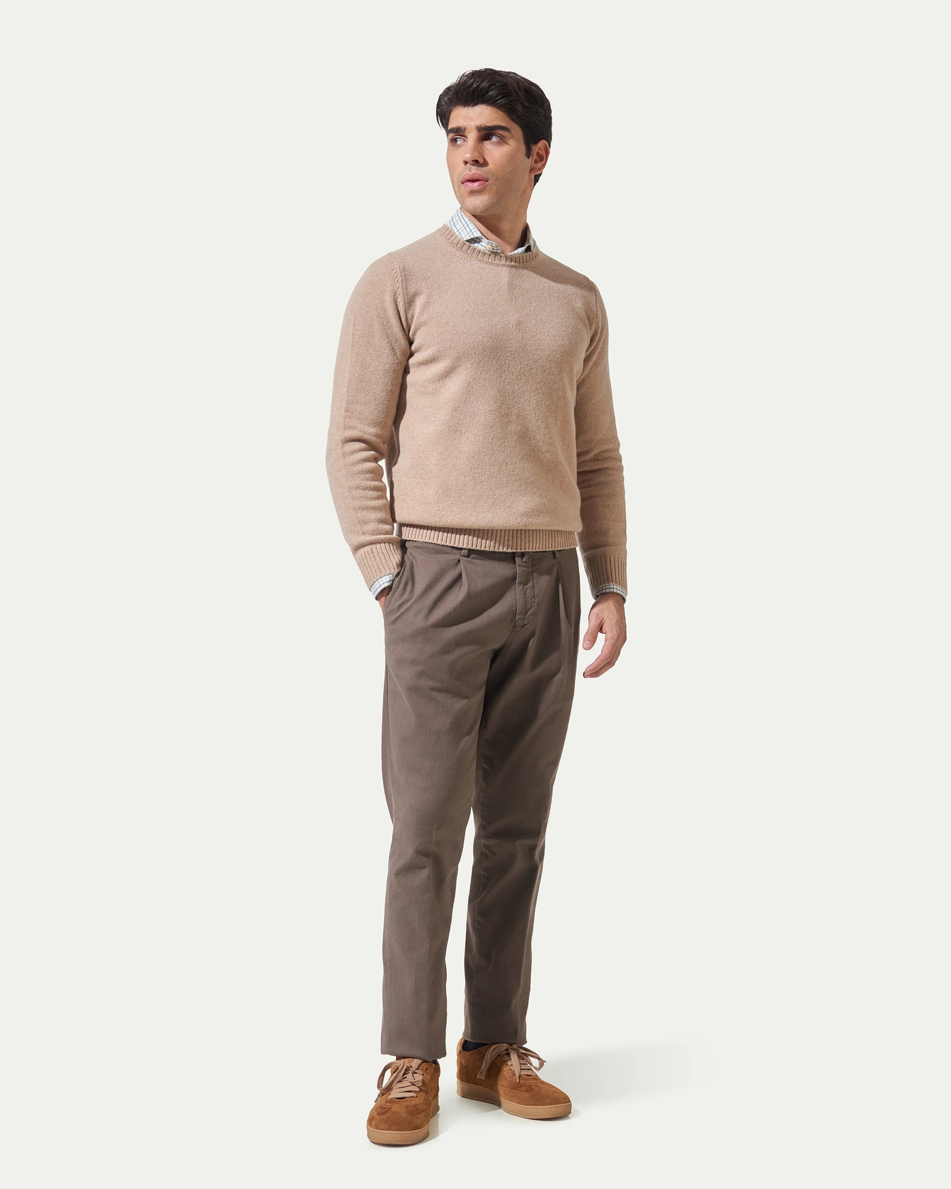 Brown trousers with pleats in garment-dyed stretch cotton.