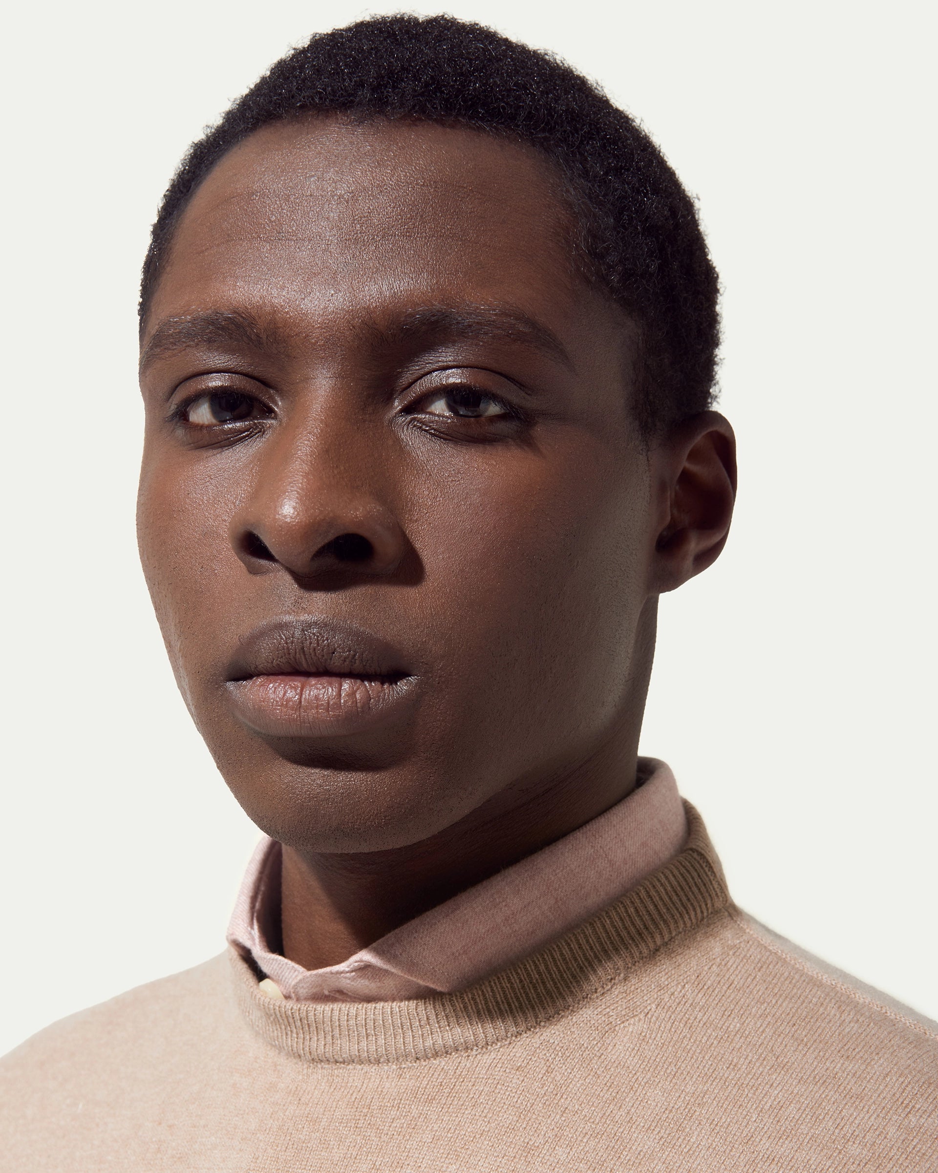 Girocollo beige in puro cashmere rasato finezza 12