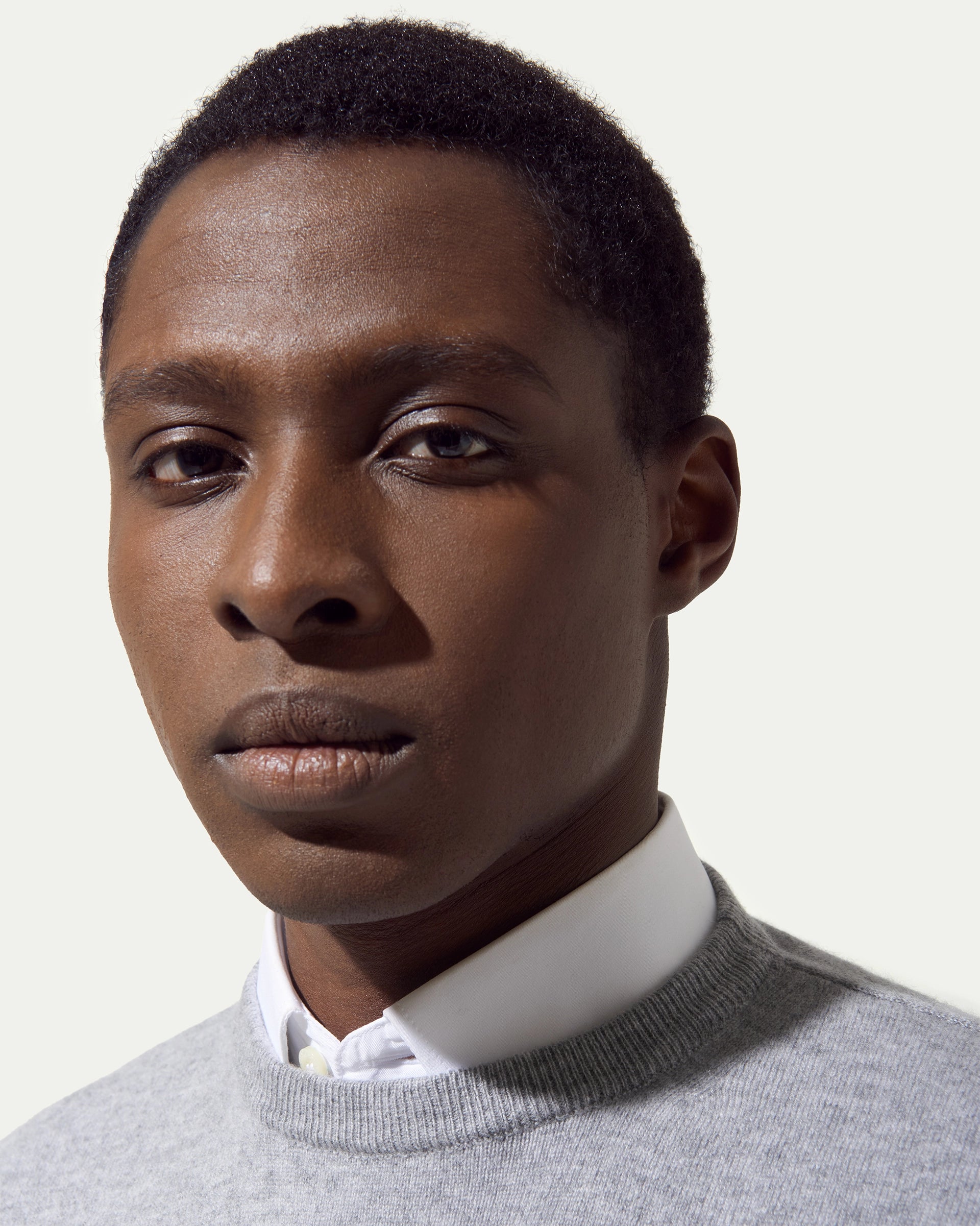 Girocollo grigio in puro cashmere rasato finezza 12